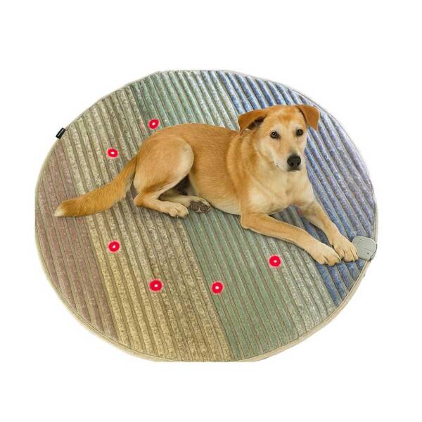 Magnetfeldmatte Hund